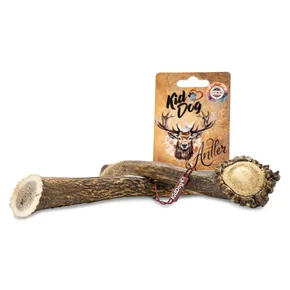 KIDDOG Antler, Hirschgeweih ganz - L
